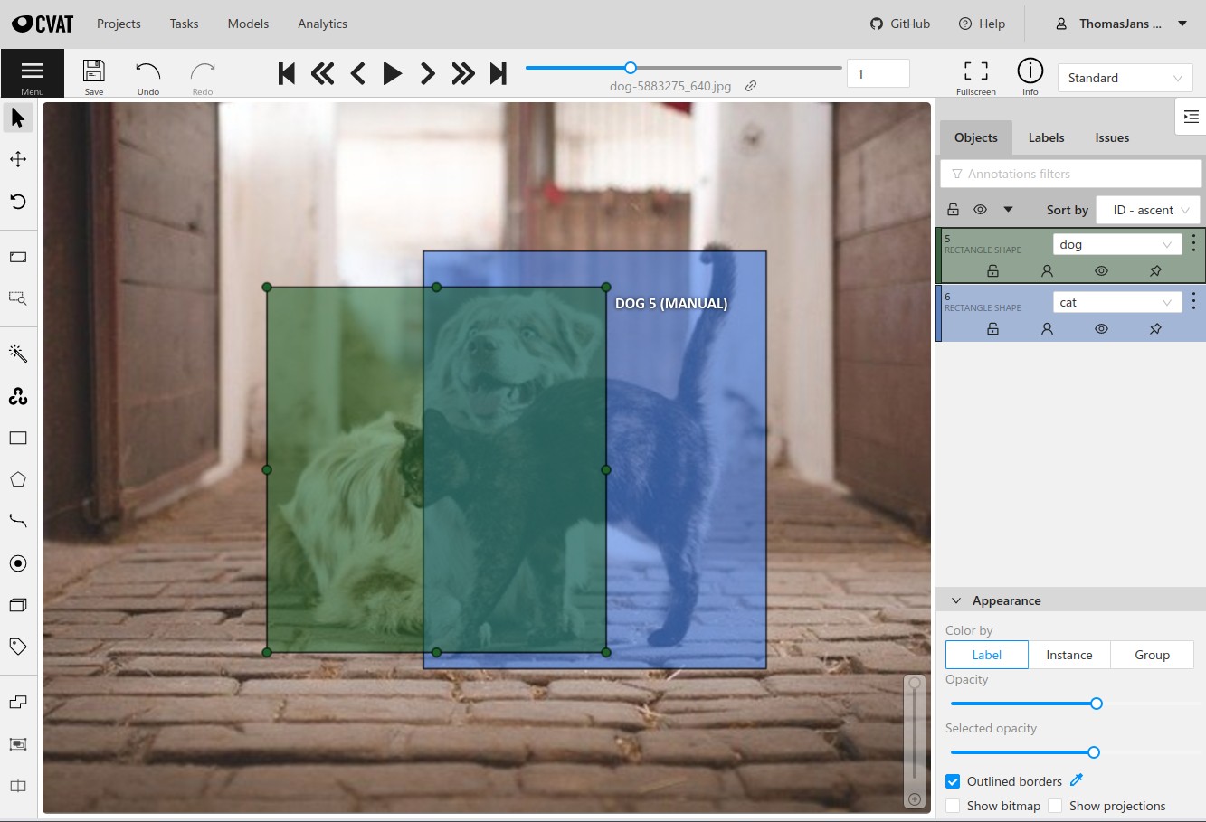 Data Annotation in AI